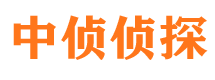 大新市婚外情调查